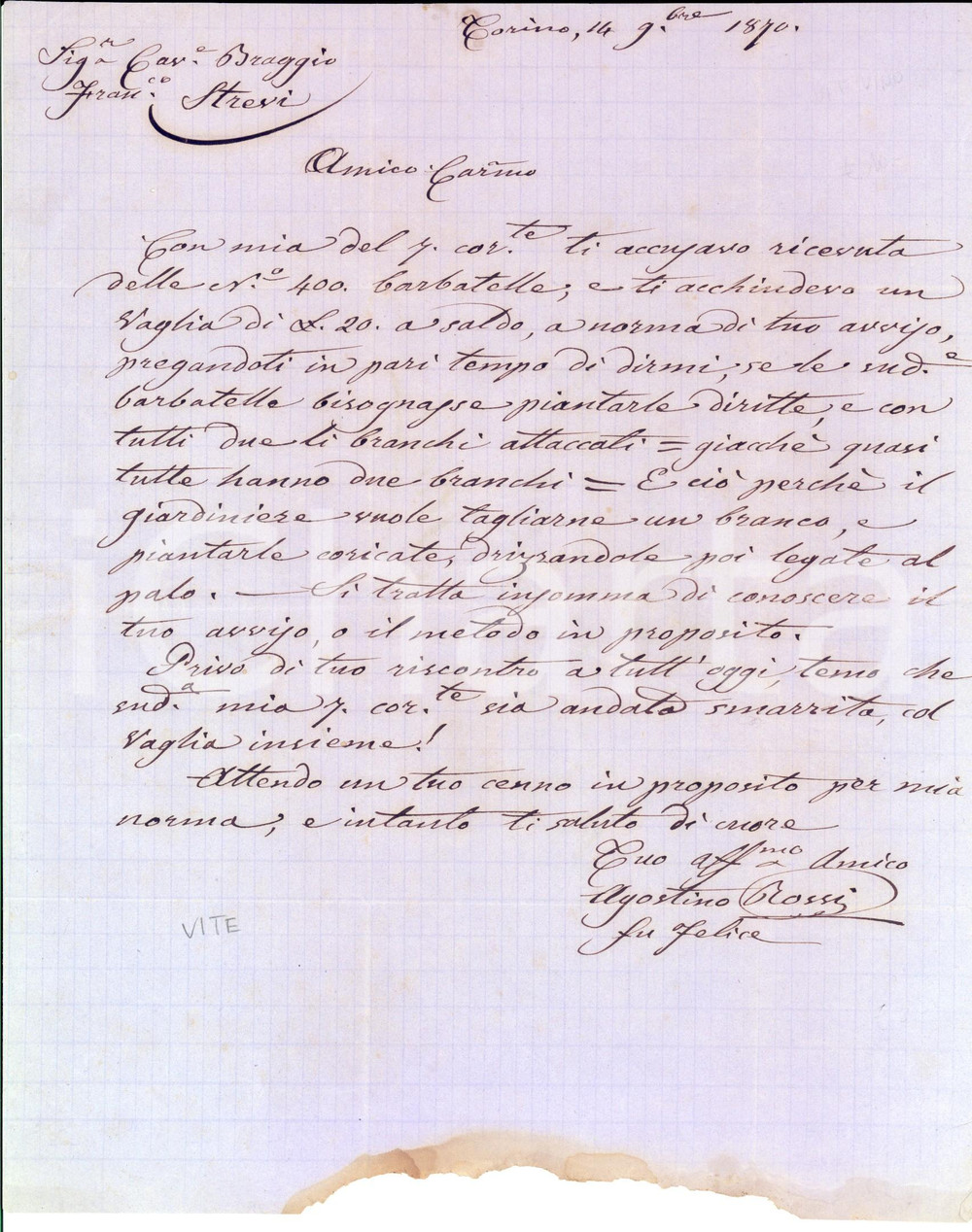 Manoscritto, lettera originale 1870 TORINO Agostino ROSSI prepara barbatelle per la vigna di Francesco BRAGGIO 1