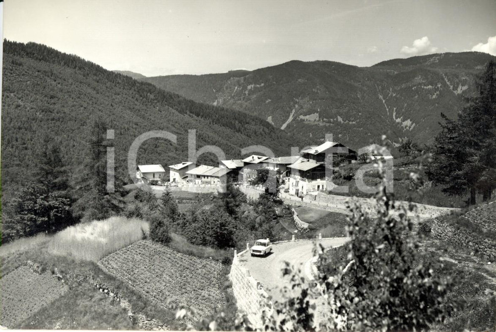 Cartolina originale da collezione 1967 VALFLORIANA TN Veduta della frazione SICINA ANIMATA con auto FG VG 1