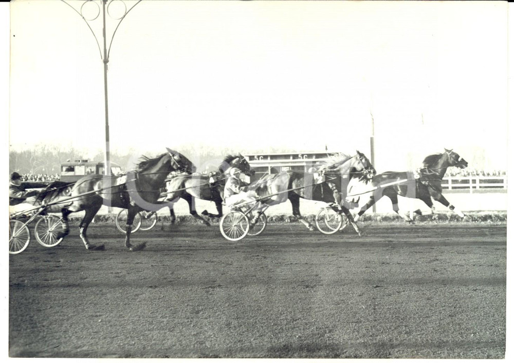 Fotografia d epoca originale 1960 PARIS VINCENNES PRIX D AMERIQUE ArrivÃ©e HAIROS II devant TORNESE Photo 1