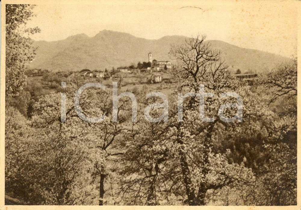 Cartolina originale da collezione 1959 COASSOLO TORINESE (TO) Veduta paese e dintorni *Cartolina postale FG VG 1