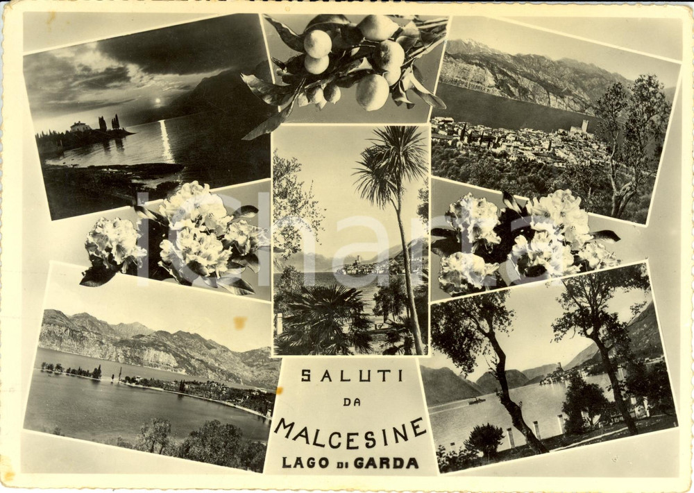 Cartolina originale da collezione 1954 MALCESINE VR Vedutine con Castello SCALIGERO  Cartolina FG VG 1