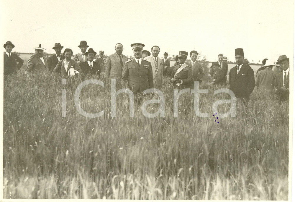 Fotografia d epoca originale 1929 BENGASI Libia Giornata del GRANO  Domenico SICILIANI visita campi Foto 1