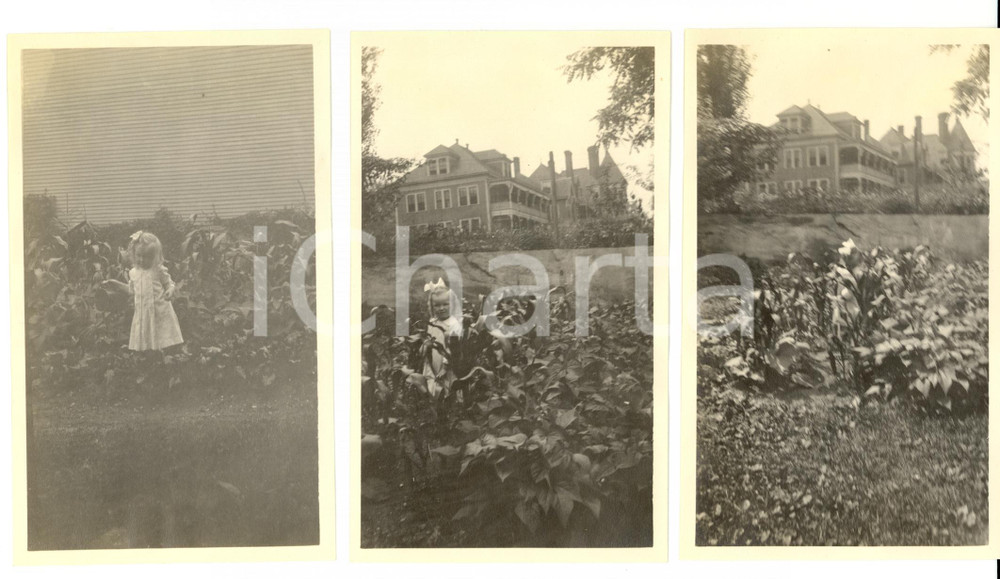 Fotografia d epoca originale 1917 ADAMS Massachusetts Baby Barbara BETTS in the garden Photo 1