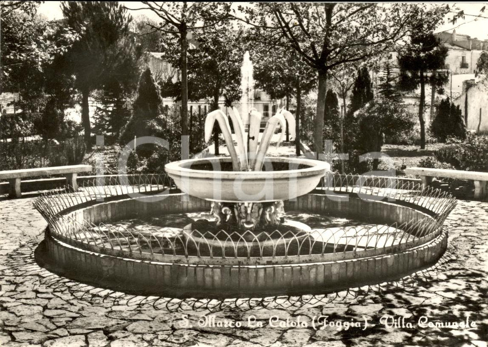 Cartolina originale da collezione 1955 ca SAN MARCO LA CATOLA FG Giardino Villa Comunale 1