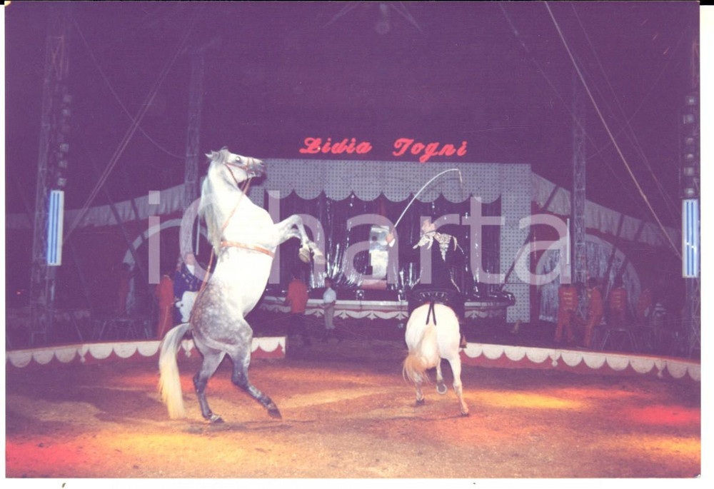 Fotografia d epoca originale 1985 ca PESARO ? CIRCO Vinicio TOGNI si esibisce a cavallo Fotografia 1