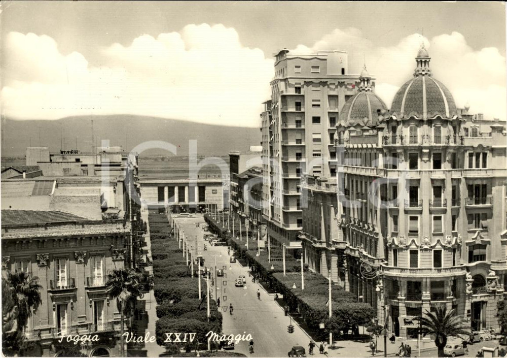 Cartolina originale da collezione 1959 FOGGIA Veduta di viale XXIV Maggio  Cartolina ANIMATA FG VG 1