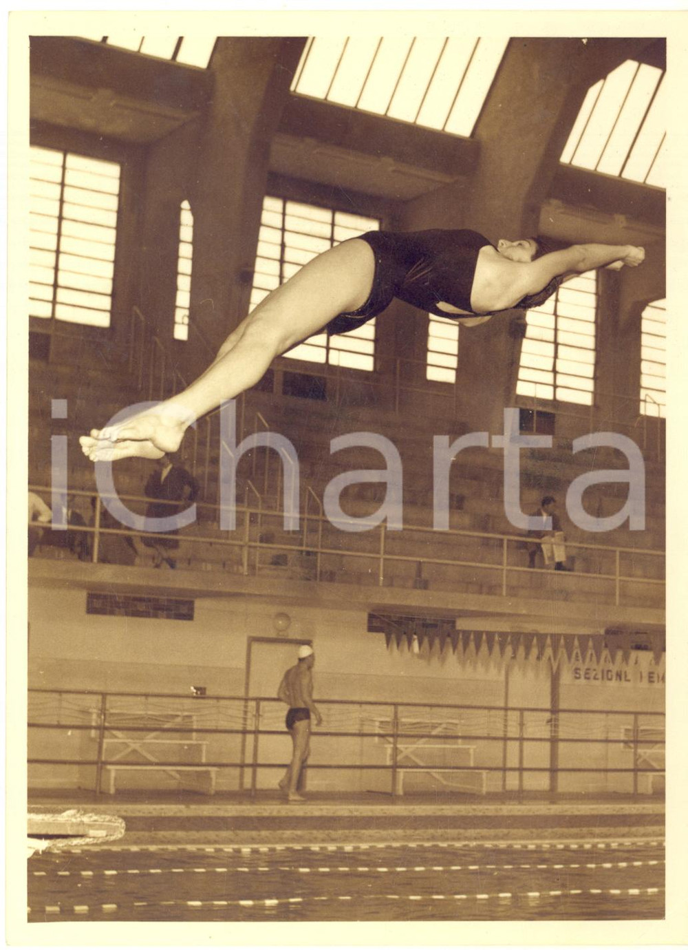 1959 TORINO UNIVERSIADI - Lucilla PASSERINI al tuffo - Fotografia 13x18 cm