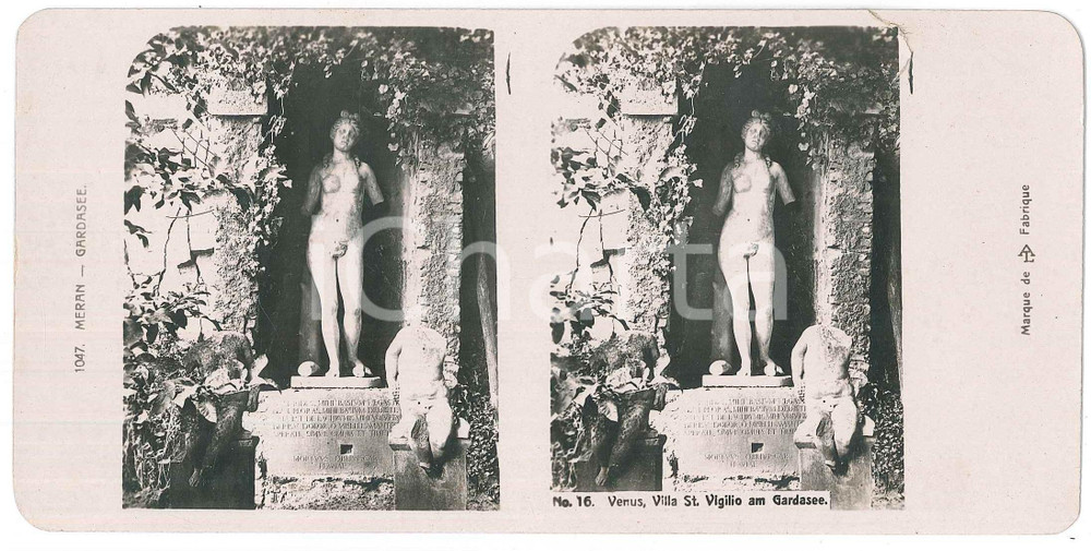 1905 ca LAGO DI GARDA - Villa San Vigilio - Statua di Venere *Foto stereoscopica Fotografia stereoscopica d'epoca.  GOOD/buono  Formato: 18x9 cm originale e autentica 1
