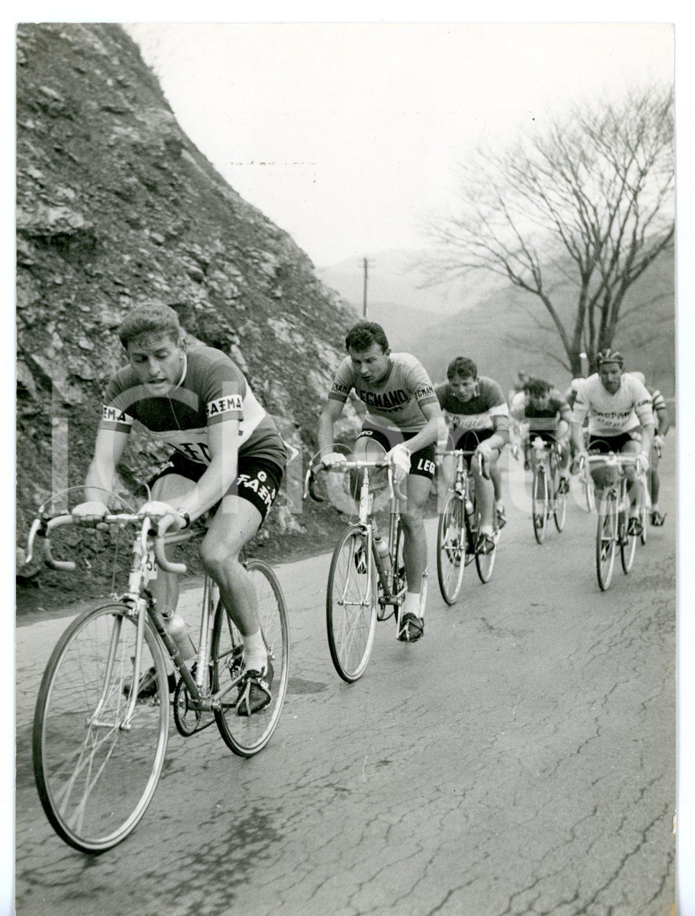 1957 CICLISMO MILANO-SANREMO René STREHLER e Nello FABBRI sul PASSO DEL TURCHINO