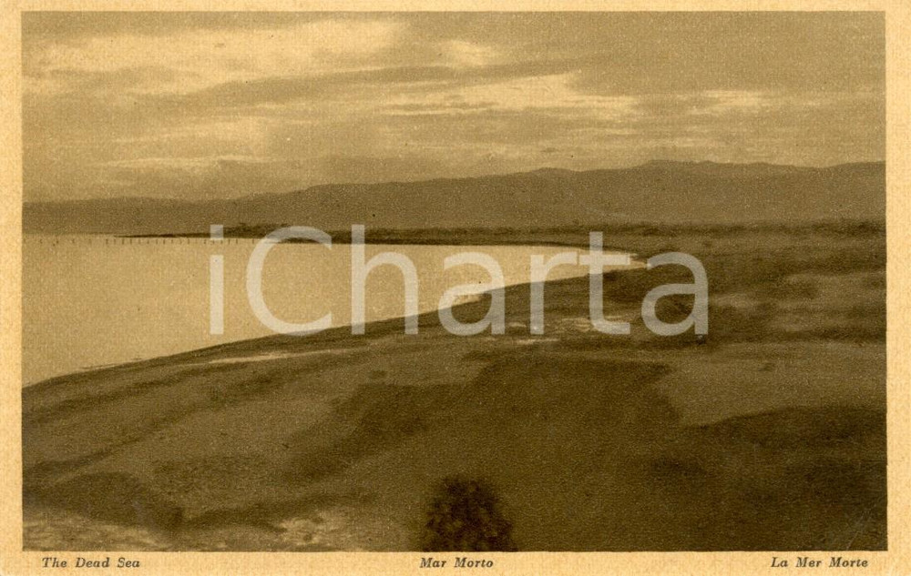 Cartolina originale da collezione 1940 ca MAR MORTO Veduta paesaggio costiero *Cartolina FP NV 1