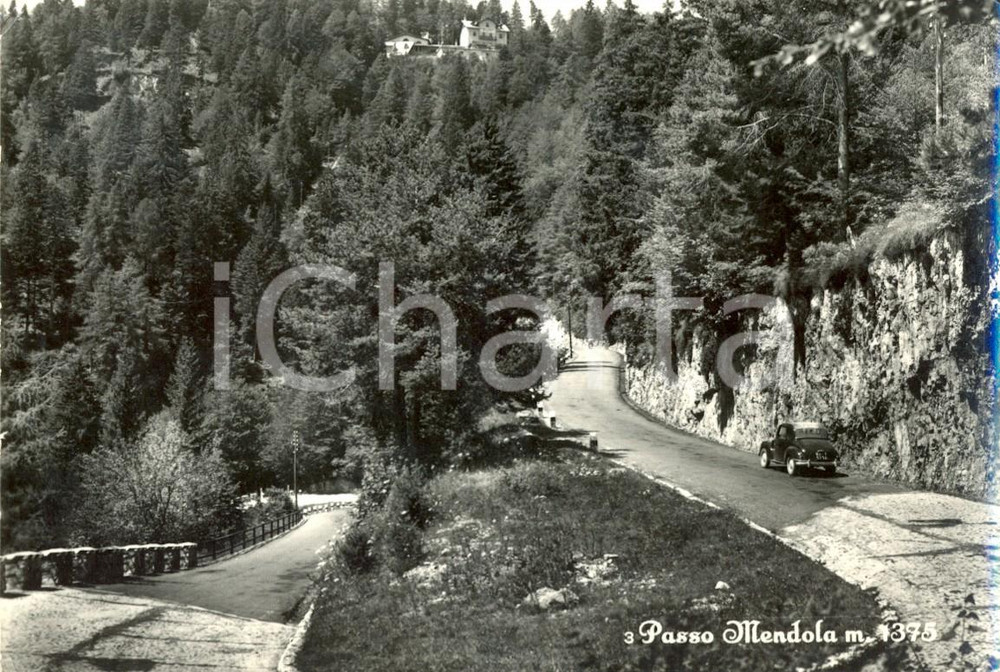 Cartolina originale da collezione 1964 BOLZANO Strada panoramica per il PASSO DELLA MENDOLA *FG VG 1