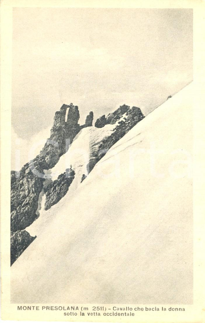 Cartolina originale da collezione 1930 ca MONTE PRESOLANA (BG) Cavallo bacia la donna sotto la vetta occidentale 1