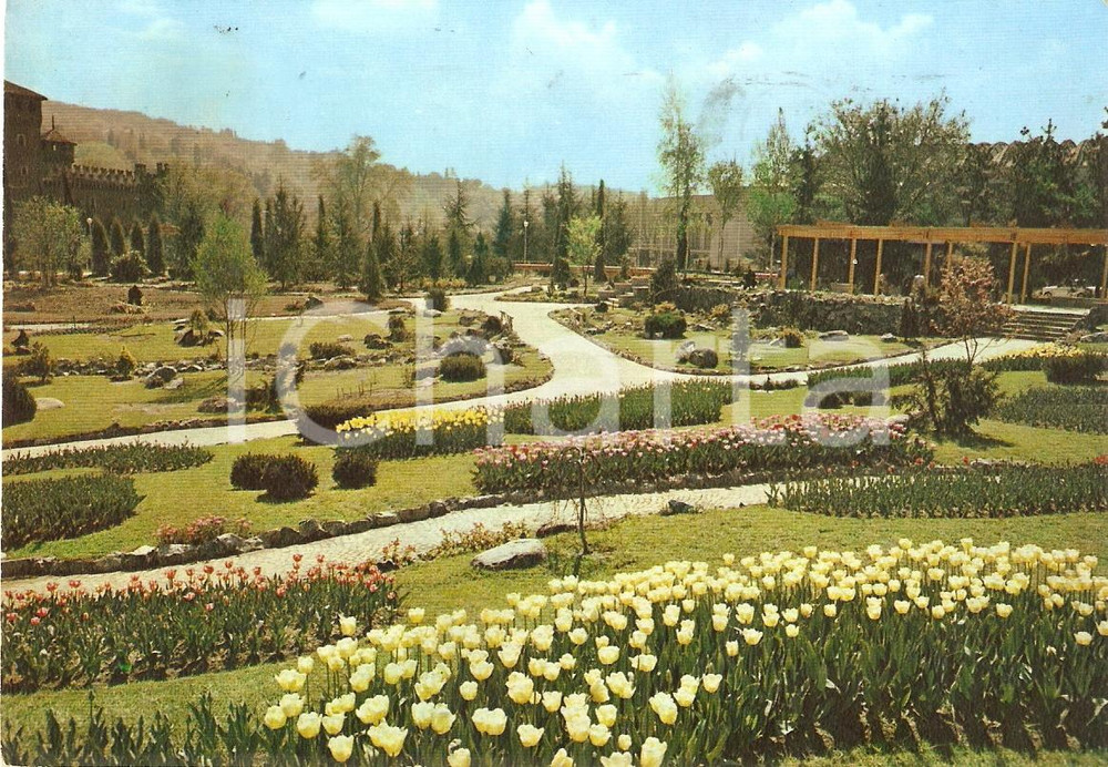 Cartolina originale da collezione 1961 TORINO  FLOR 61 Tulipani al Parco del VALENTINO Cartolina VINTAGE FG VG 1