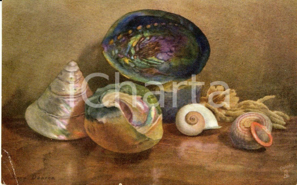 Cartolina originale da collezione 1910 ca Artista Dora DEACON - Natura morta *Cartolina ILLUSTRATA FP NV 1