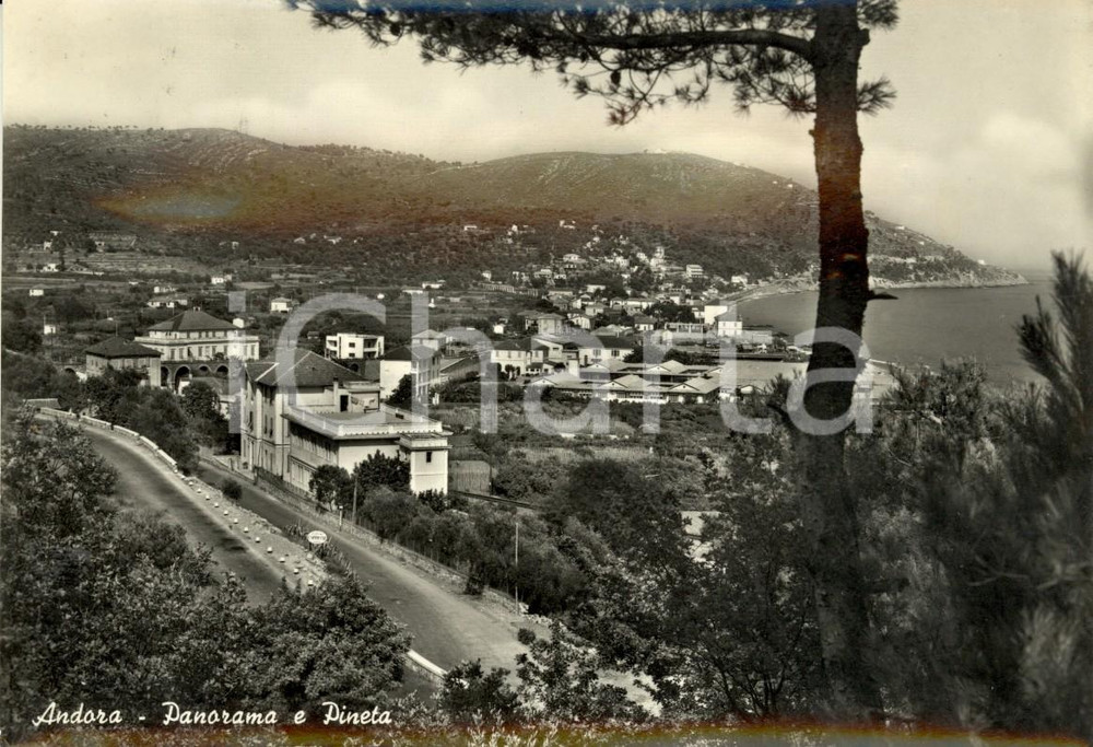 Cartolina originale da collezione 1955 ANDORA SV Panorama del paese dalla pineta Cartolina postale FG VG 1