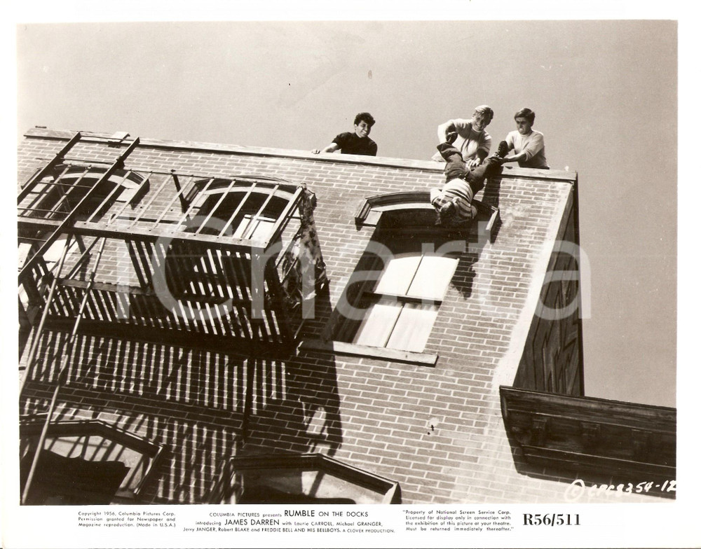 Fotografia d epoca originale 1956 RUMBLE ON THE DOCKS Bulli sporgono ragazzino dal cornicione Foto 25x20 cm 1
