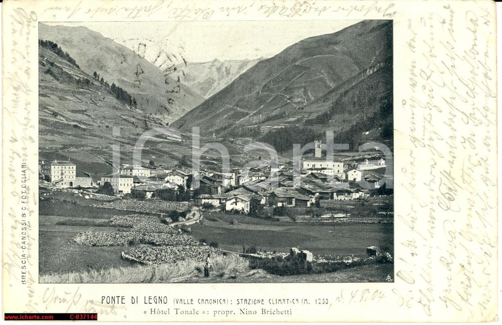 Cartolina originale da collezione 1904 Ponte di Legno - Valle Camonica *Veduta epoca 1