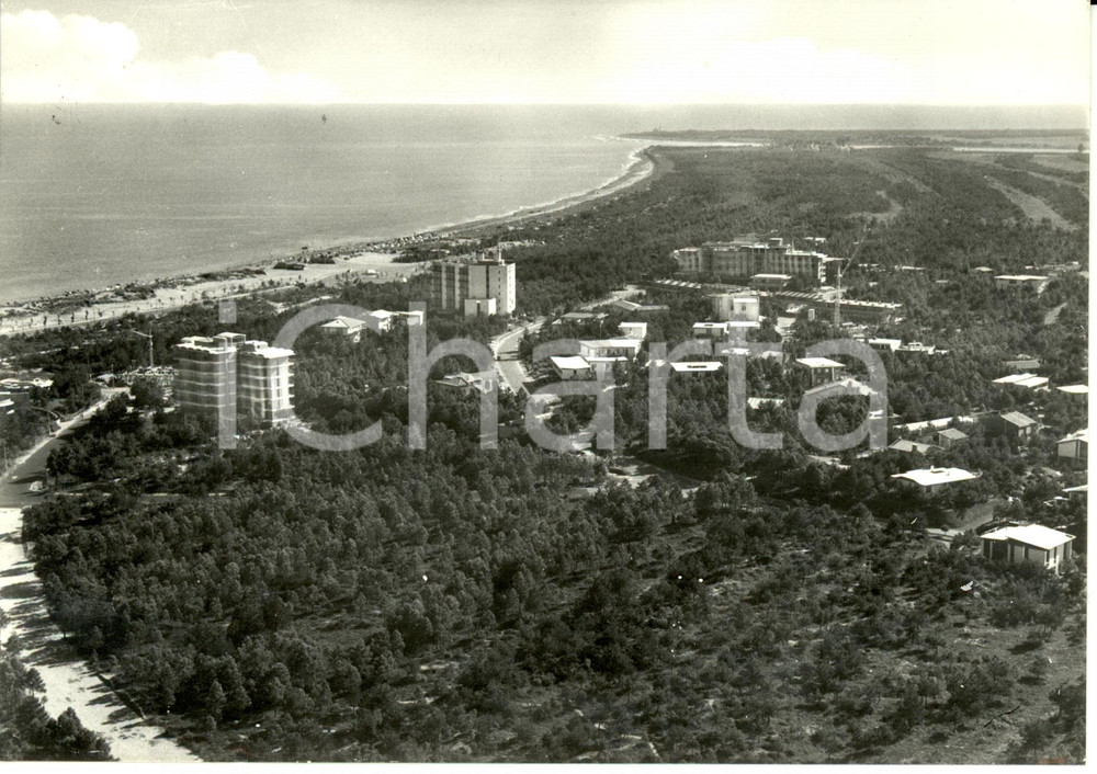 Cartolina originale da collezione 1960 LIGNANO SABBIADORO UD Veduta aerea della pineta sulla spiaggia FG VG 1