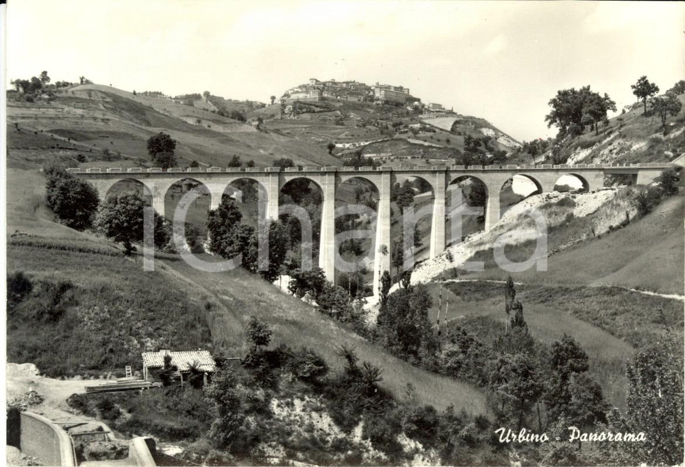 Cartolina originale da collezione 1960 ca URBINO Veduta ponte ferroviario linea per FANO Cartolina postale FG NV 1