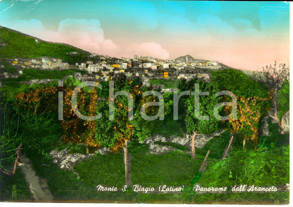 Cartolina originale da collezione 1960 MONTE SAN BIAGIO (LT) Scorcio panoramico con ARANCETO *Cartolina FG VG 1