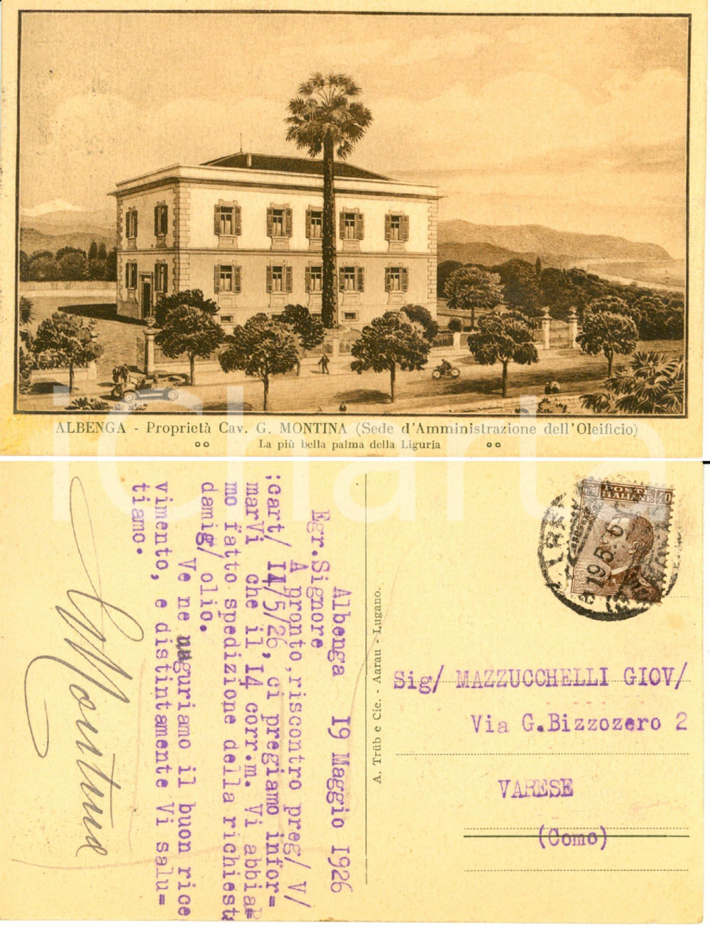 Cartolina originale da collezione 1926 ALBENGA SV Oleificio cav. G. MONTINA La più bella palma AUTOGRAFO FP VG 1