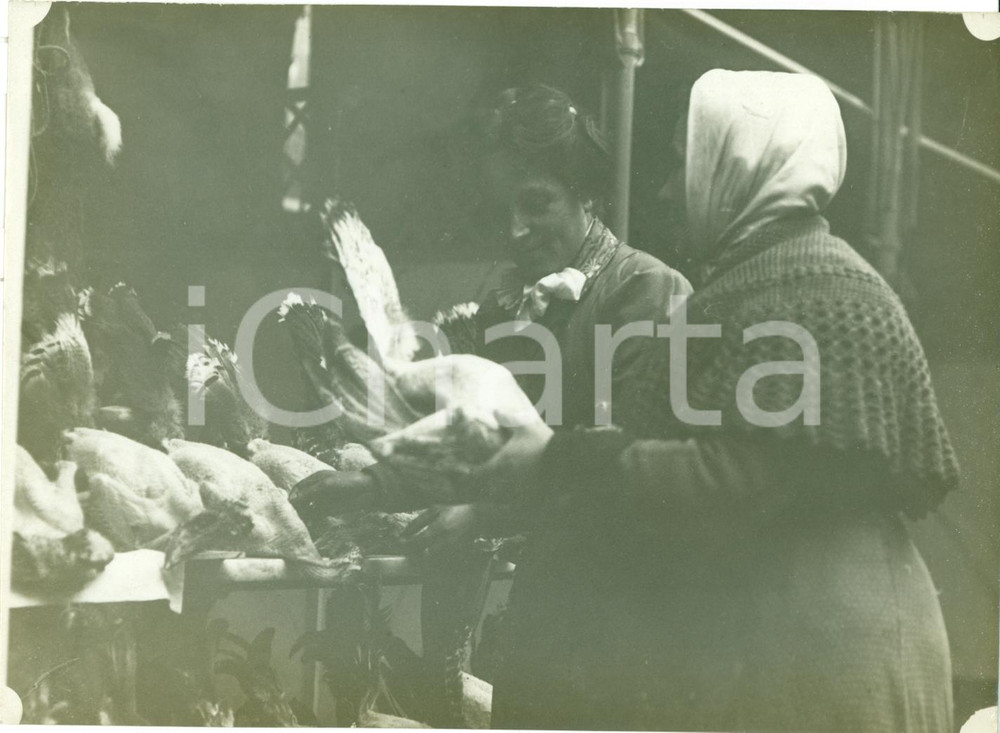 Fotografia d epoca originale 1910 ca MILANO Anziane contadine al mercato dei polli Fotografia 1