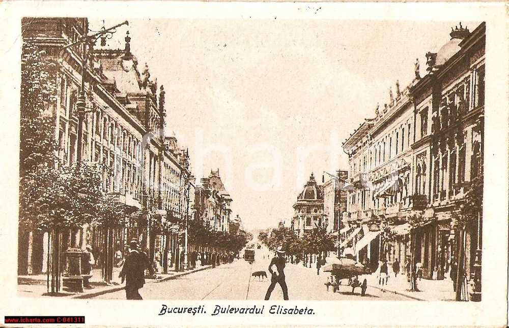 Cartolina originale da collezione 1925 BUCAREST Prospettiva Boulevard ELISABETTA animata 1