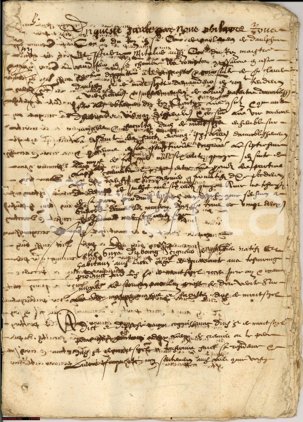 Documento originale, autentico 1650 GRENOBLE F Nobilitazione del conte MONTMIRAIL Manoscritto 26 pagine 1