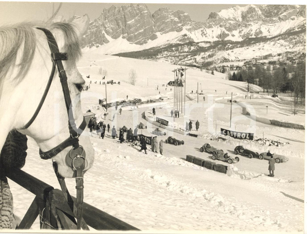 1959 CORTINA D'AMPEZZO Automobilismo 1° ICE CAR - Cavallo spettatore *Foto 18x13