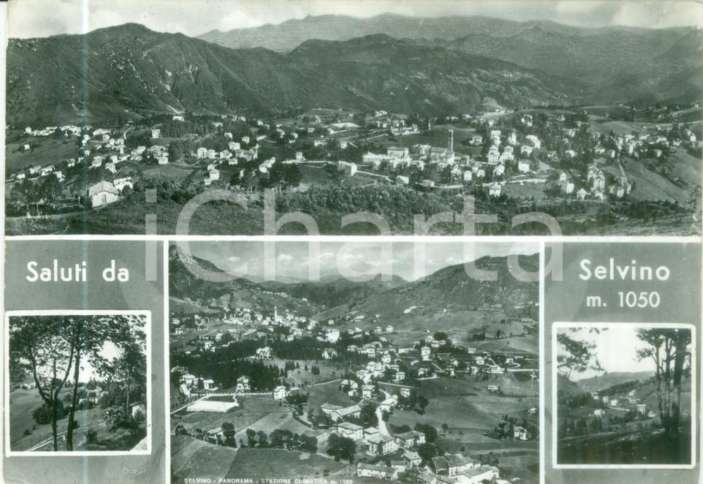 Cartolina originale da collezione 1957 SELVINO BG Vedutine e panorama del paese Cartolina FG VG 1