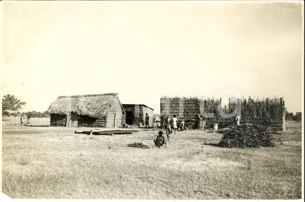 Fotografia d epoca originale 1930 ca GENALE SOMALIA Impianto di nuova azienda agraria Fotografia 1