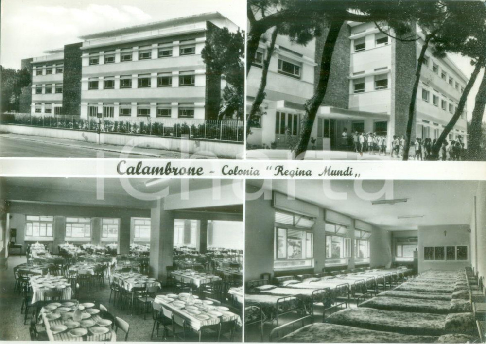 Cartolina originale da collezione 1962 PISA Vedutine Colonia Regina Mundi di CALAMBRONE Cartolina postale FG VG 1