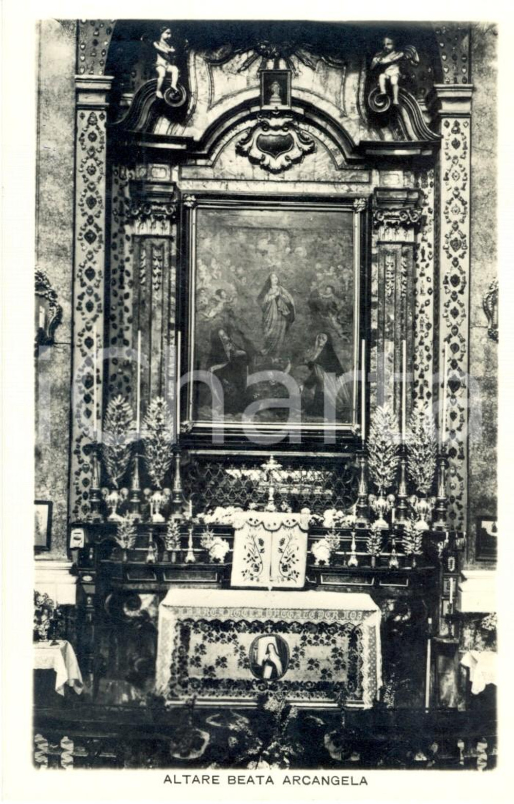Cartolina originale da collezione 1930 ca TRINO (VC) Altare beata ARCANGELA Chiesa di san Lorenzo *Cartolina FP NV 1
