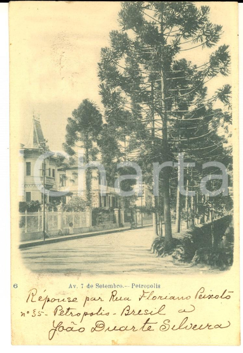 Autografo originale 1904 PETROPOLIS BRAZIL Avenida 7 de Setembro Autografo Joao DUARTE SILVEIRA 1