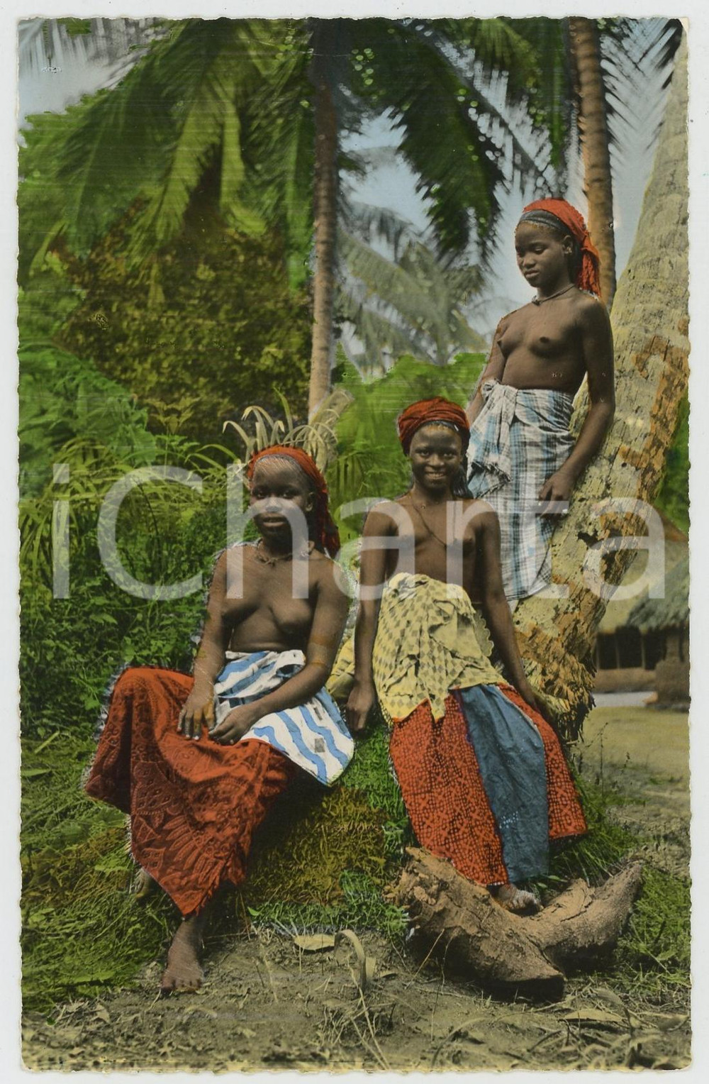 1960ca L'AFRIQUE EN COULEURS Jeunes filles africaines NU ETHNIQUE Carte postale  Cartolina postale d'epoca, non viaggiata .EDIZIONE: Editions Hoa-Qui, ParisSERIE: L'Afrique en couleures - n. 748CONDIZIONI: GFORMATO: FP    originale e autentica 1