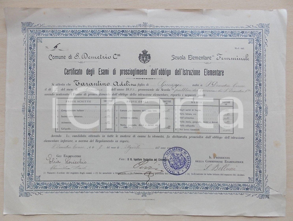 Oggetto da collezione cartaceo 1904 SAN DEMETRIO CORONE (CS) Diploma di licenza elementare Adelina TARANTINO 1