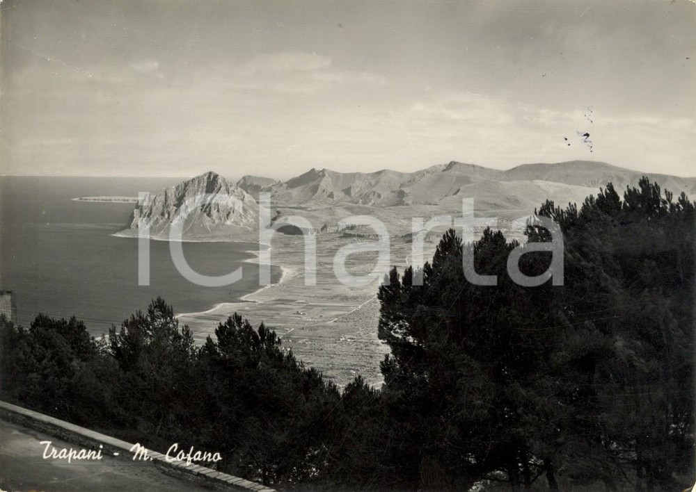 Cartolina originale da collezione 1954 TRAPANI Veduta panoramica dal Monte COFANO Cartolina postale FG VG 1