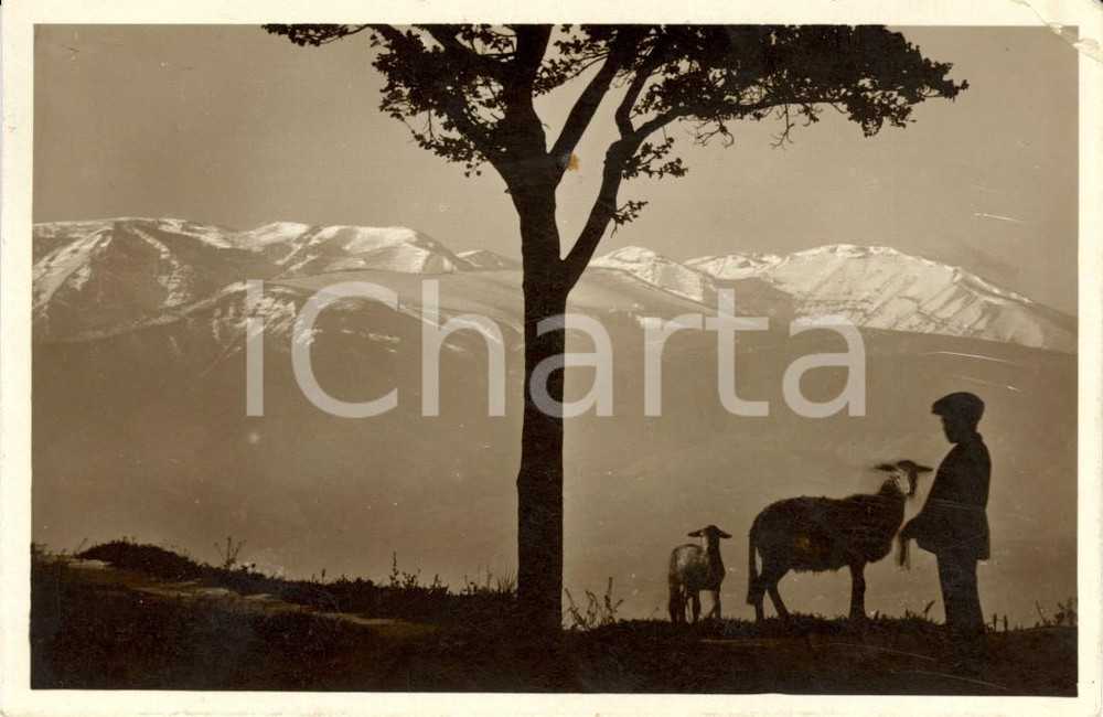 Cartolina originale da collezione 1929 CHIETI Veduta del massiccio della MAIELLA ANIMATA con pastore FP VG 1