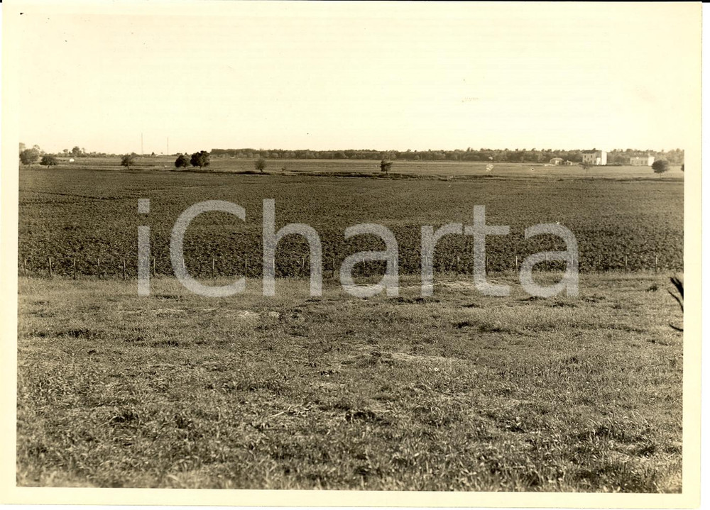 Fotografia d'epoca originale 1930 TERRACINA (LT) Pantano bonificato - Impianto CECCACCIO *Foto (1) 1
