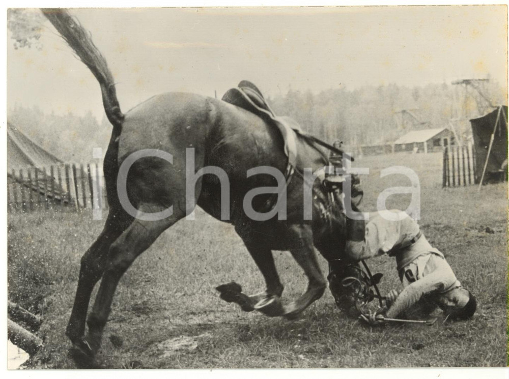 1956 STOCCOLMA XVI Olimpiade - EQUITAZIONE Caduta di Jack BURTON da HUNTINGFIELD Fotografia d'epoca, con didascalia coeva al verso. CONDIZIONI: FAIR (bassa qualit&agrave; di stampa; lievi aloni)FORMATO: 18x13 cm    originale e autentica 1