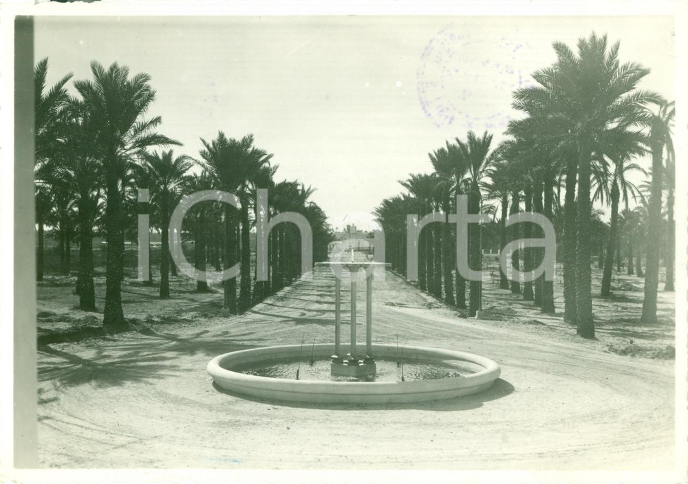 Fotografia d epoca originale 1935 ca TRIPOLI LIBIA Fontana del nuovo Viale Arnaldo MUSSOLINI Fotografia 1