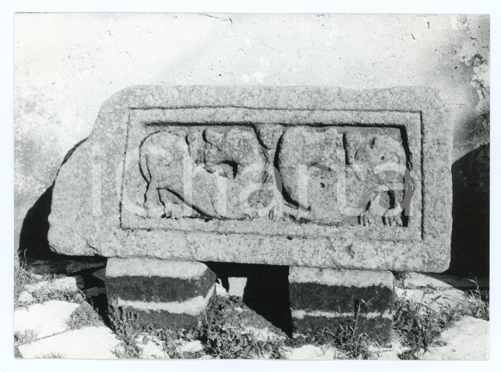 Fotografia d epoca originale 1970 TOLFA Bassorilievo della Rocca dei Frangipane  Foto 17x13 cm 1