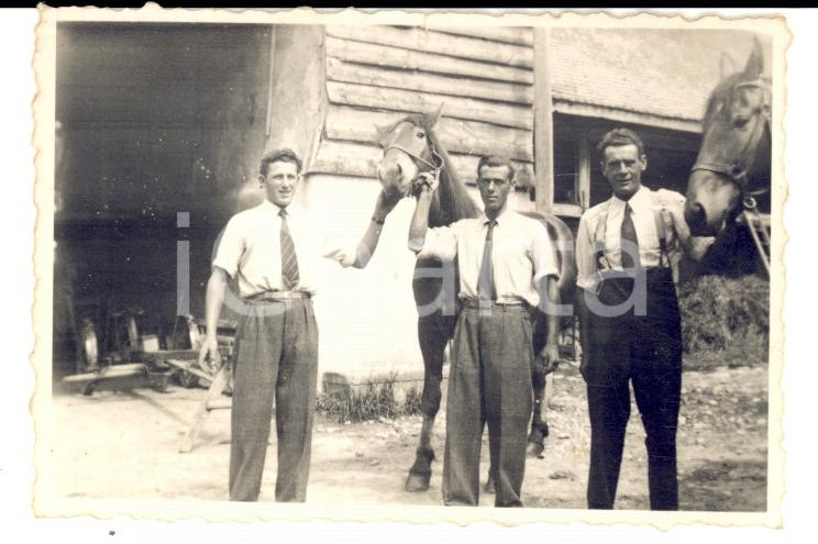 Fotografia d epoca originale 1944 MORENS CH Giovani con i loro cavalli presso una cascina Foto 9 x 6 cm 1