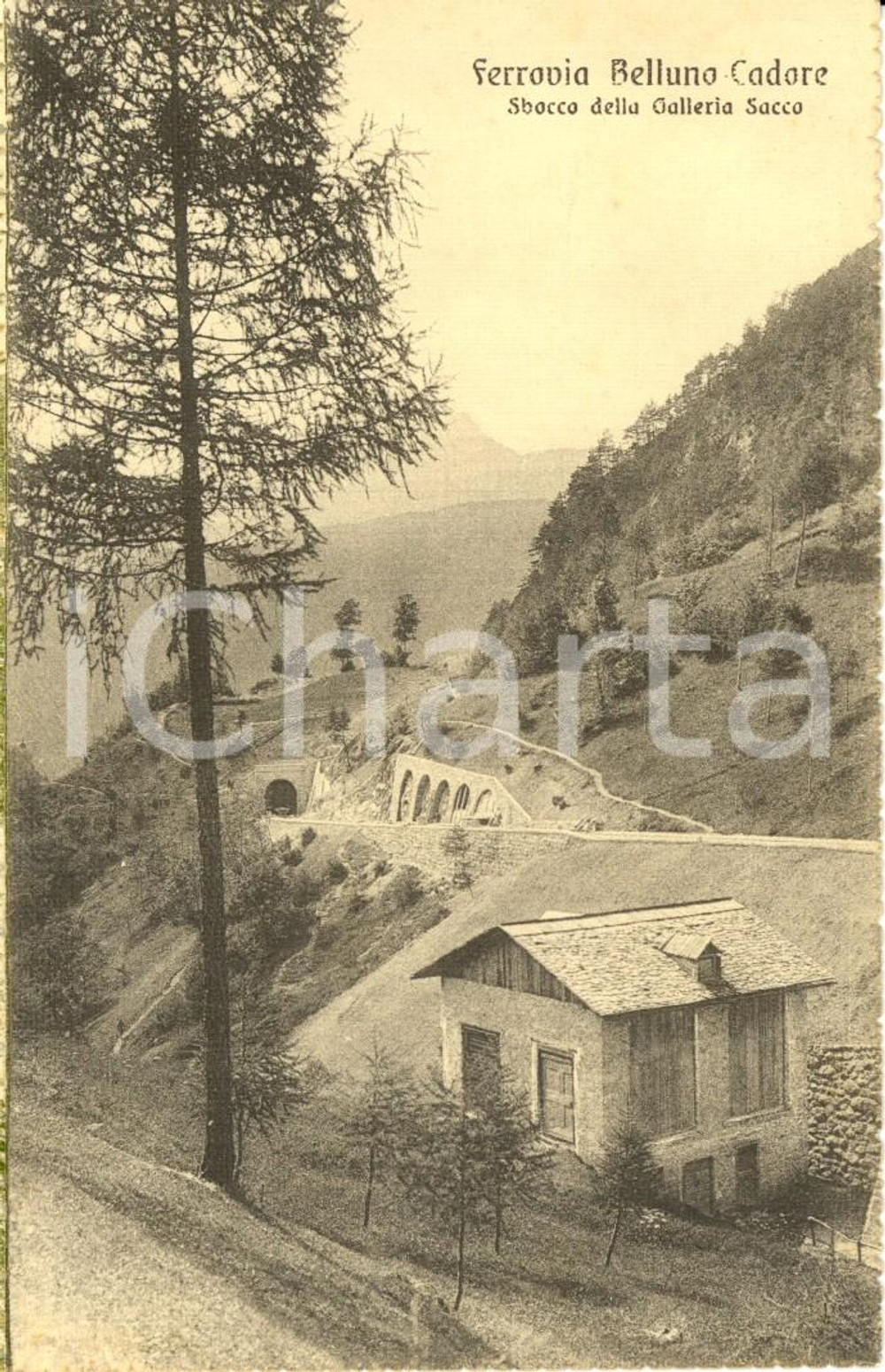 Cartolina originale da collezione 1930 ca Ferrovia BELLUNO - CALALZO DI CADORE Viadotti su CARSIE e BOITE *ANIMATA 1