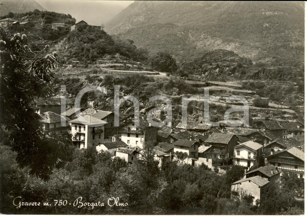 Cartolina originale da collezione 1954 GRAVERE (TO) Scorcio panoramico Borgata Olmo *Cartolina FG VG 1