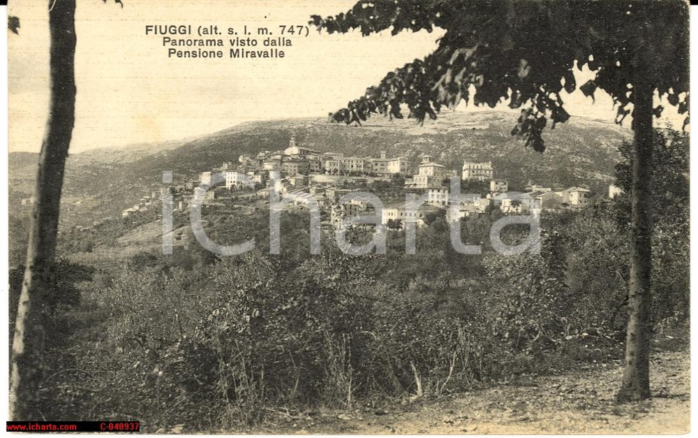 Cartolina originale da collezione 1930 Fiuggi  Panorama visto da Pensione Miravalle 1