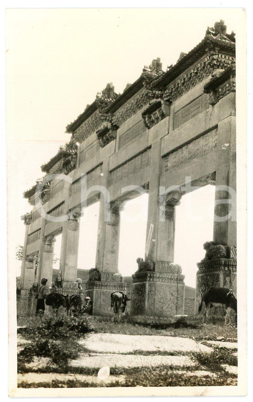 1935 ca CINA Parco archeologico - Asini davanti a un'antica porta - Foto 6x11 Fotografia d'epoca. GOOD/buono  Formato: 6x11 cm originale e autentica 1