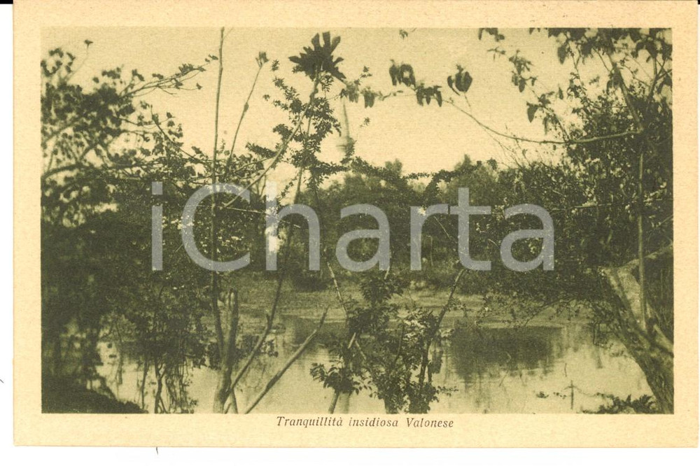 Cartolina originale da collezione 1930 ca VALONA ALBANIA TranquillitÃ  insidiosa di una palude Cartolina FP NV 1