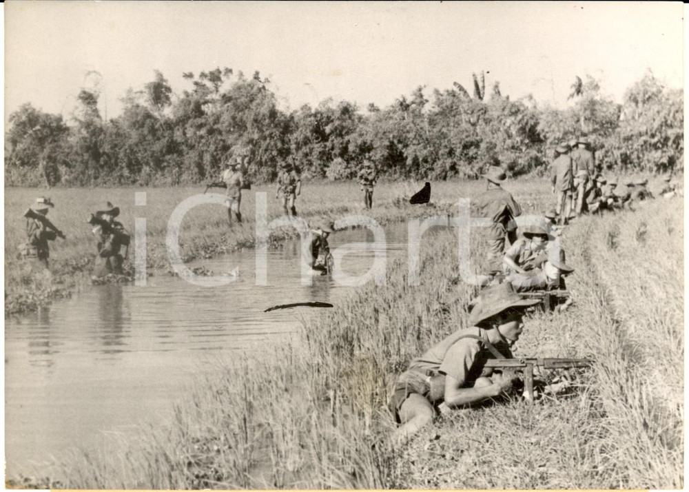 1953 GUERRA DEL VIETNAM - BUI CHU Soldati vietnamiti avanzano in una risaia FOTO