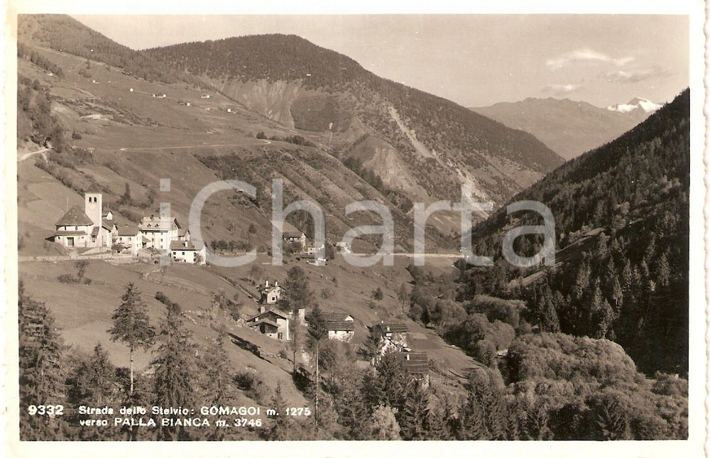 Cartolina originale da collezione 1950 ca STELVIO (BZ) Frazione GOMAGOI verso PALLA BIANCA *Cartolina FP NV 1